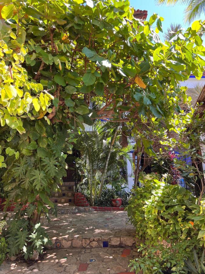 Casa Terranova (Adults Only) Aparthotel Puerto Escondido  Exterior photo